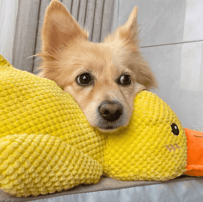Interactive Duck Toy (FREE Today)