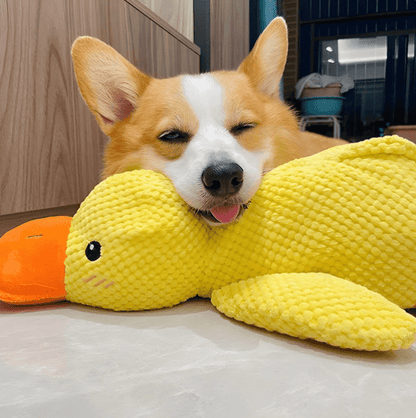 Interactive Duck Toy (FREE Today)
