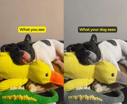 Interactive Duck Toy (FREE Today)